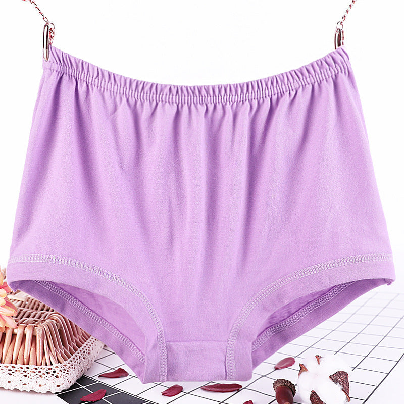 Culotte grande taille femme