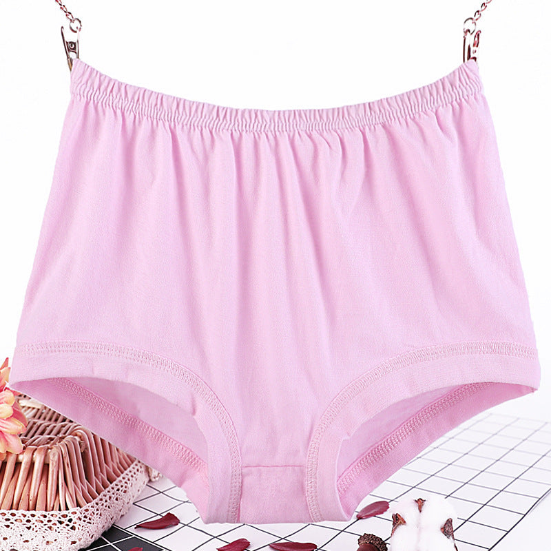 Culotte grande taille femme