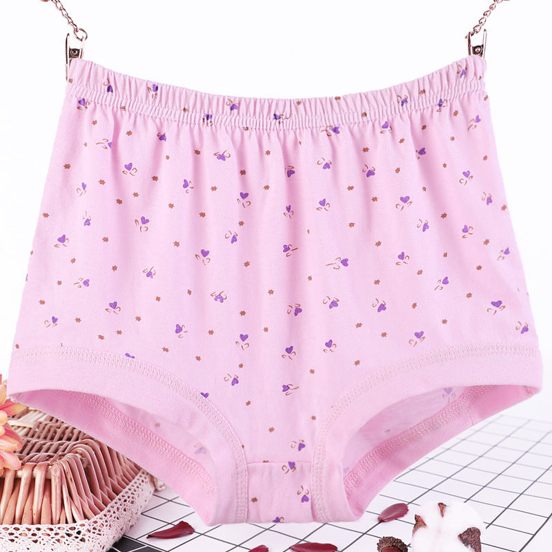 Culotte grande taille femme