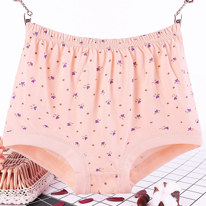 Culotte grande taille femme