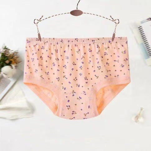 Culotte grande taille taille haute