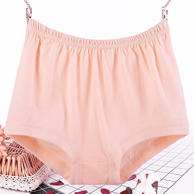 Culotte grande taille femme