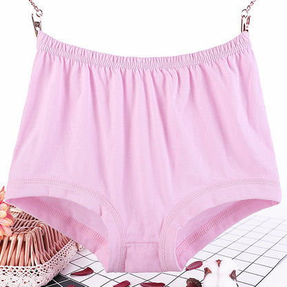 Culotte grande taille femme