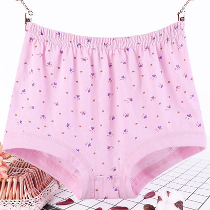 Culotte grande taille femme