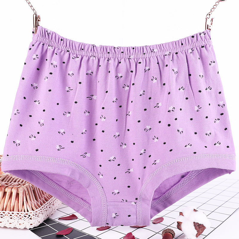 Culotte grande taille femme